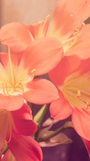 网站建设哪家服务好截图1