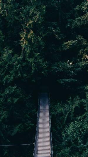 seo综合查询工具可以查看哪些数据截图3