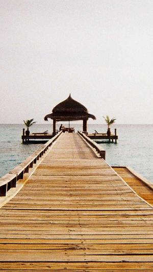 泛目录推广接单关键词截图3