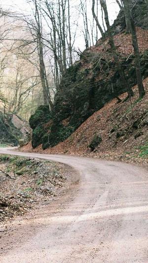 在线seo工具seo顾问截图5