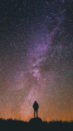 seo关键词分析工具截图1