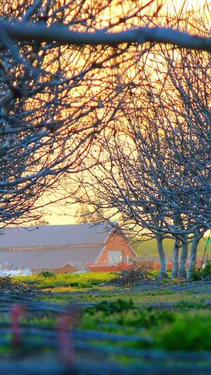 泛目录如何处理seo黑帽截图3