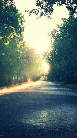 磐石网站建设截图3