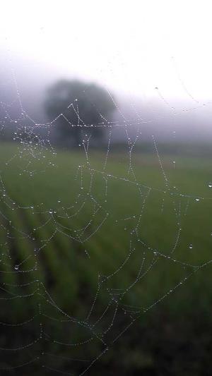 如何优化seo截图3