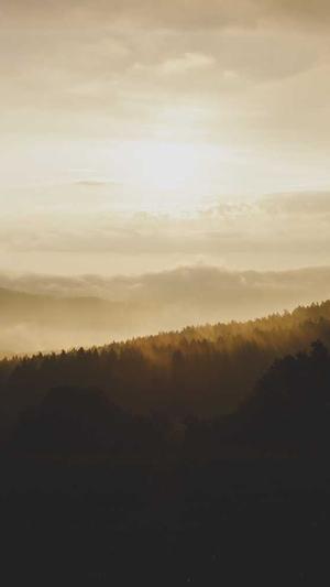 seo软文推广工具截图3