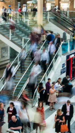 蜘蛛池搭建价格多少钱截图1