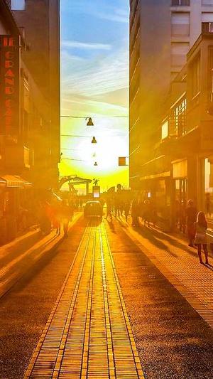 seo建站工具截图1