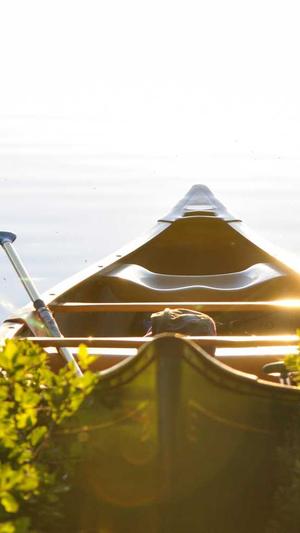 免费蜘蛛池程序截图4