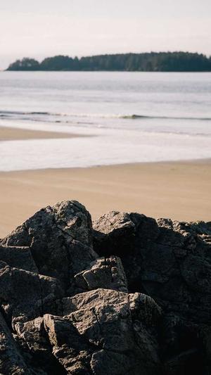 站长工具seo权重怎么看截图1