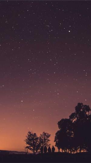 蜘蛛池种类截图1