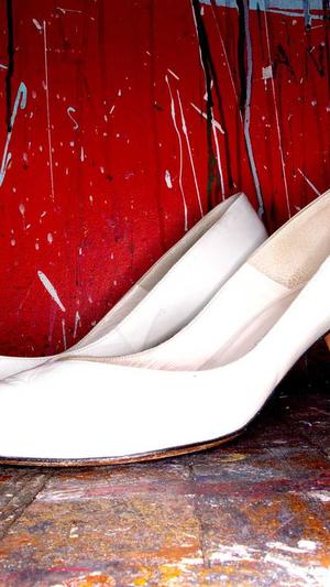 搜狗蜘蛛池百度贴吧截图2