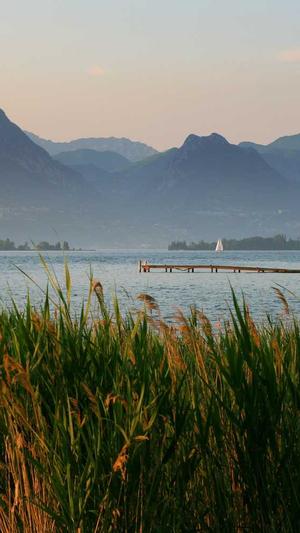 青岛网站建设哪家好截图3