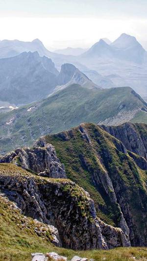 重庆seo优化公司截图1