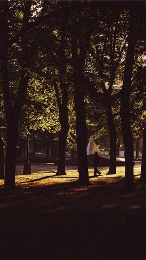 百度关键词seo截图5