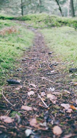 seo是什么职业截图1