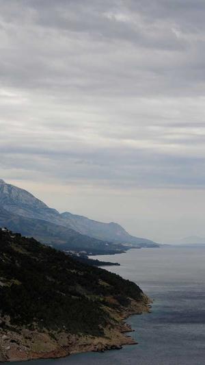 蜘蛛池价格截图1