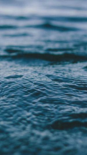 泛目录推广接单代发截图4