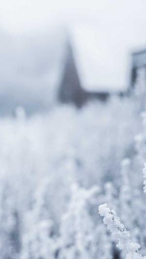 超级外链蜘蛛池源码截图1