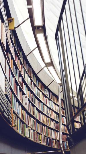 蜘蛛池手工制作步骤截图1