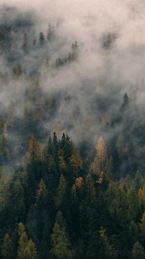 seo优化行业截图3