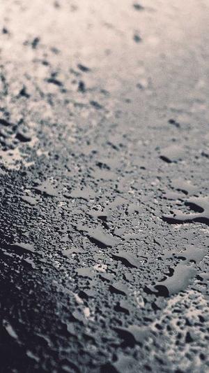 网站建设小西门截图3