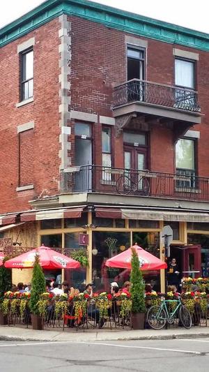 千道蜘蛛池ip授权截图3