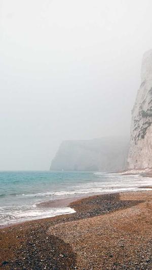 seo排名工具维芯cidun8截图1