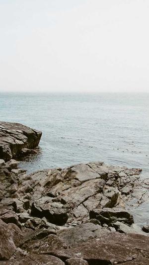 蜘蛛池对新站有用吗截图2