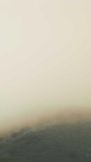 上海网站建设设计截图1