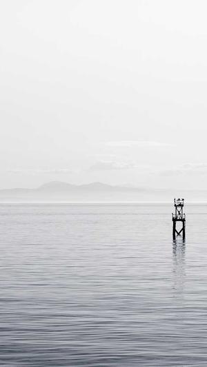 宝鸡seo优化工具截图1