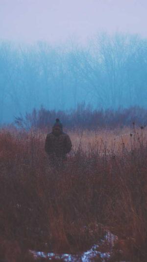 泛目录是什么推广软件截图1