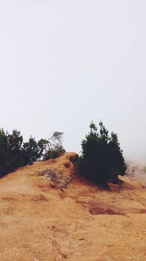 蜘蛛池要多少个域名截图2