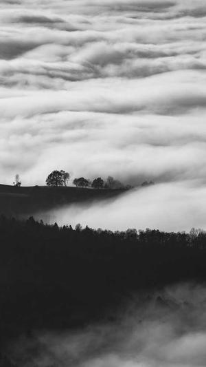 宁波市网站建设截图3