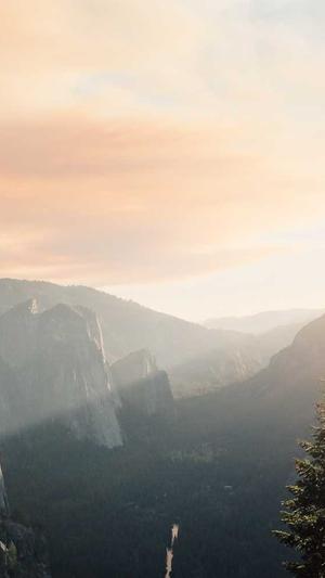 泛目录收录截图3