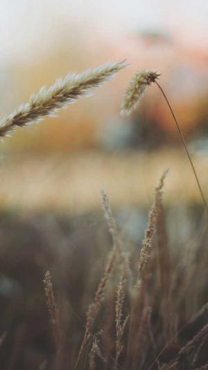 湘潭seo优化截图1