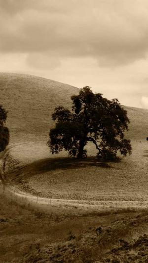 天津蜘蛛池租用平台截图3